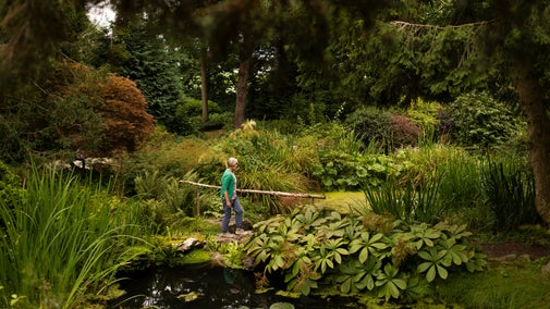 Visitors discovering the garden at Goddards, North Yorkshire